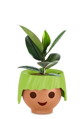 Фикус Эластика Робуста 12/40 см в OJO, зеленый Фикус Эластика Робуста 12/40 см в OJO, зеленый