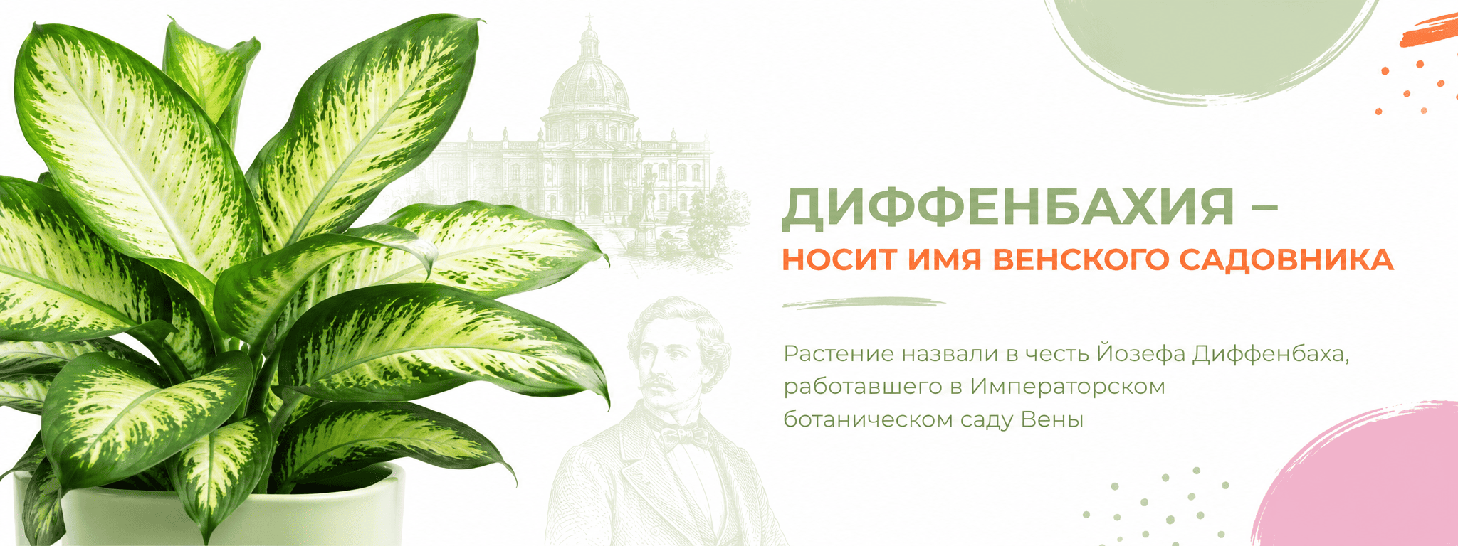 межстраничный лиственные 4 межстраничный лиственные 4