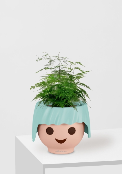 Аспарагус Плюмосус 12/30 см в OJO