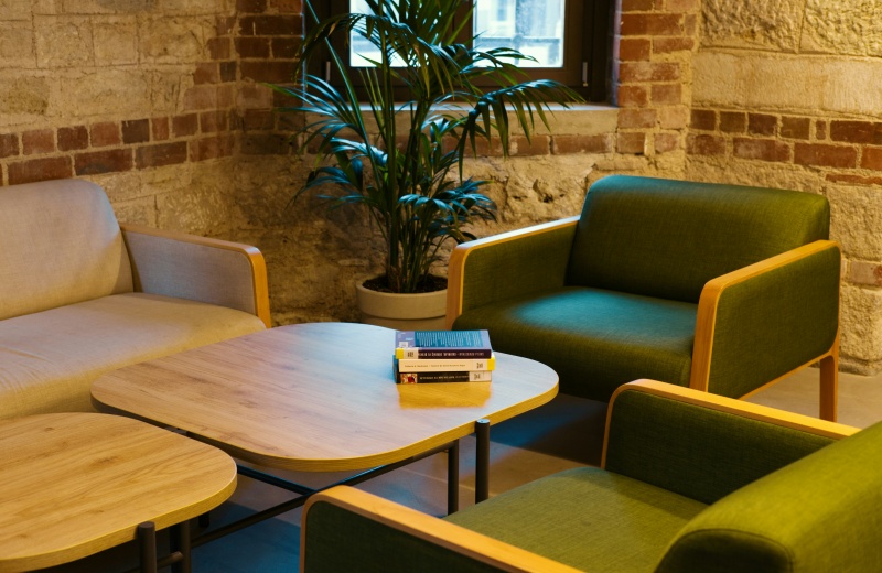 Растения для переговорной комнаты: как выбрать