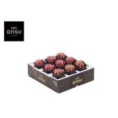 Гимно Кактус Multicolor d7.5 см h13 см Гимно Кактус Multicolor d7.5 см h13 см