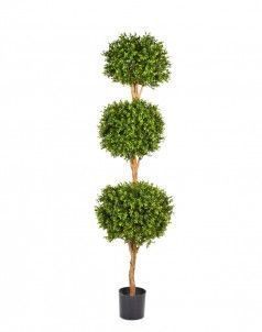 Самшит Шар тройной уличный