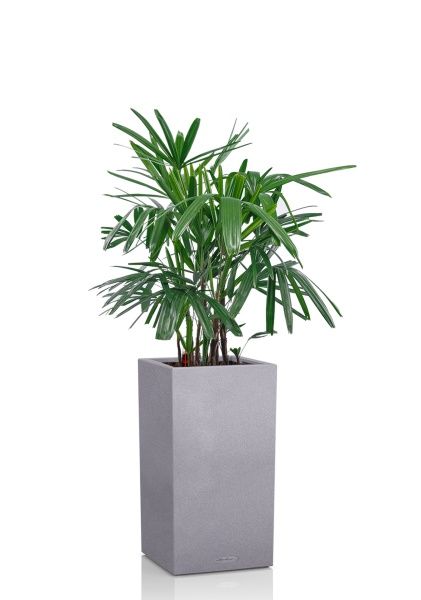 Рапис 21/90 см в CANTO STONE HIGH 30