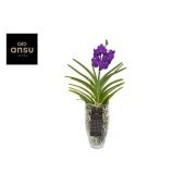Ванда Charlotte Blue d14 см h60 см