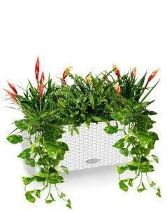 Тропический микс Cottage 50 /50 см, белый Тропический микс Cottage 50 /50 см, белый