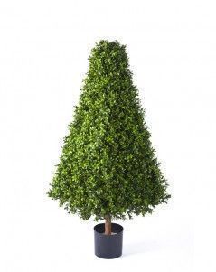 Самшит-Пирамида уличный на каркасе