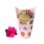 Каланхоэ Rosalina Don Victorio Dark Pink d12 см h27.5 см Каланхоэ Rosalina Don Victorio Dark Pink d12 см h27.5 см