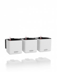 Кашпо LECHUZA ЗЕЛЕНАЯ СТЕНА Home Kit Color 15х14 см