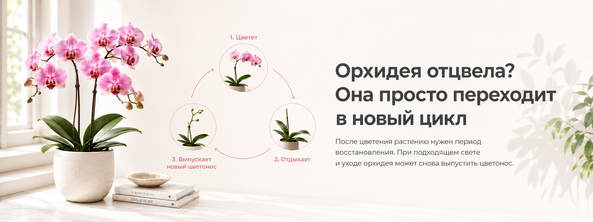 орхидея межстраничный 4
