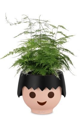 Аспарагус в OJO, черный