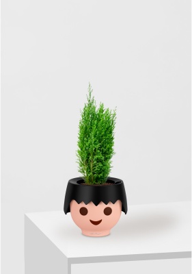 Кипарисовик микс 9 см в OJO