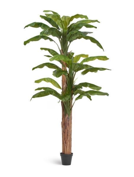 Банановое дерево 280 см