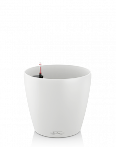 Кашпо LECHUZA CLASSICO Color 21х20 см