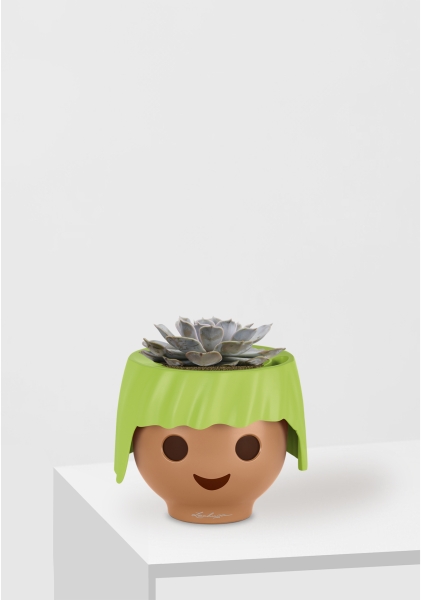 Эхеверия Лилацина 12/20 см в OJO