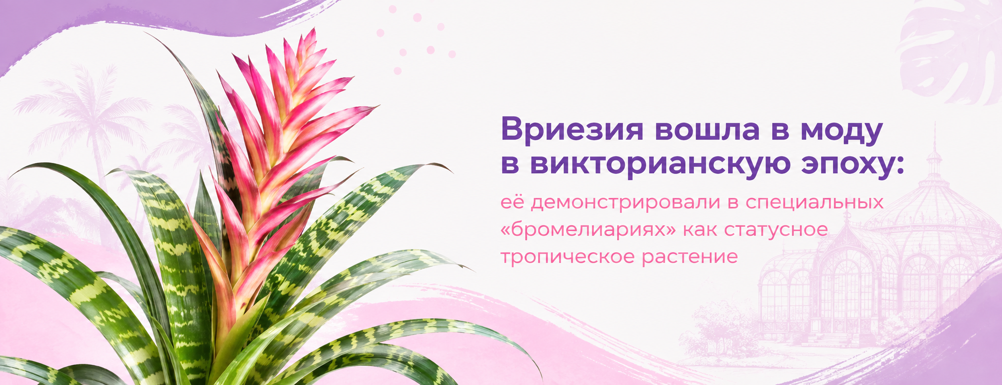 межстраничный цветущие 5 межстраничный цветущие 5