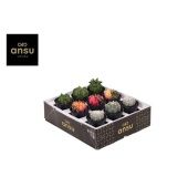 Кактус Эксклюзив Ansu d7.5 см h13 см