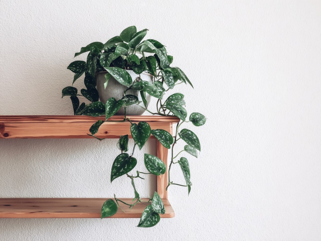 photo_2025-12-08_12-24-26 (2).jpg