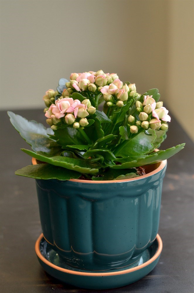 6209_big.jpg 6209_big.jpg