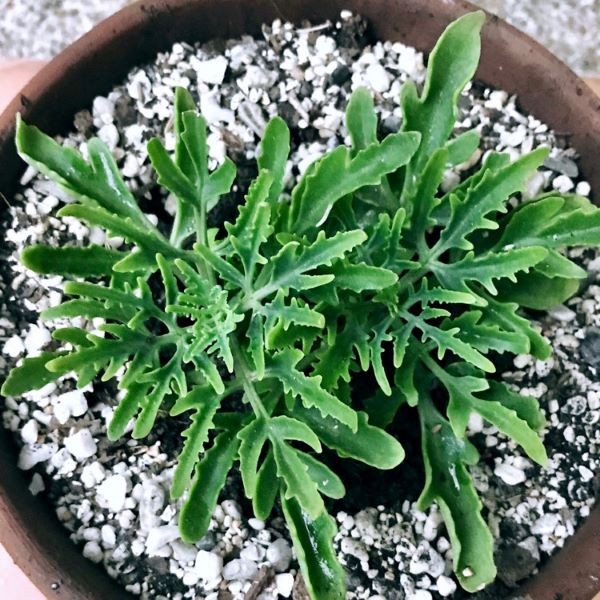 7482390301.jpg 7482390301.jpg