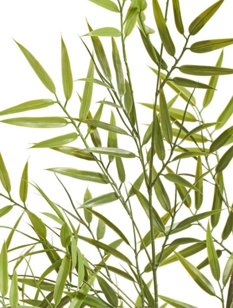 Бамбук японский Style (с UV-фильтром)