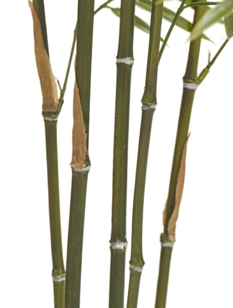 Бамбук японский Style (с UV-фильтром)