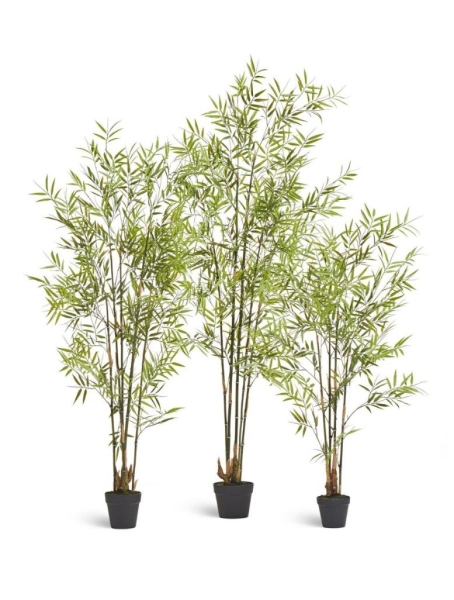 Бамбук японский Style (с UV-фильтром)