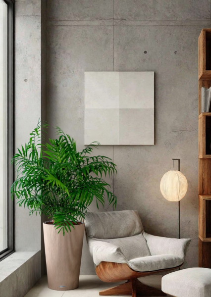 Хамедорея Элеганс 20/100 см в CILINDRO 32 Хамедорея Элеганс 20/100 см в CILINDRO 32