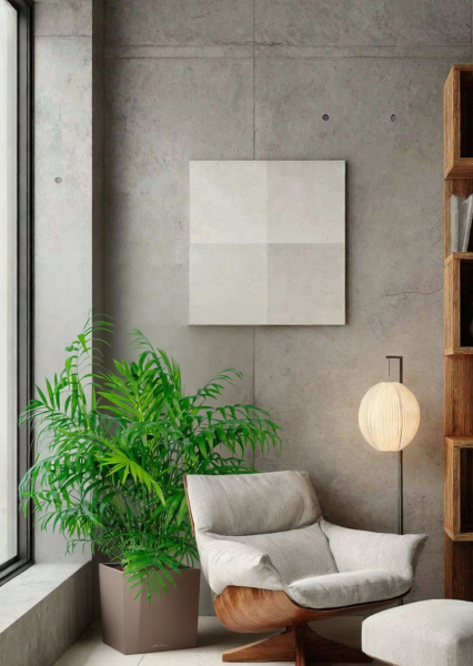 Хамедорея Элеганс 20/100 см в CUBE 30 Хамедорея Элеганс 20/100 см в CUBE 30