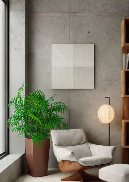 Хамедорея Элеганс 20/100 см в CUBICO COLOR 30 Хамедорея Элеганс 20/100 см в CUBICO COLOR 30