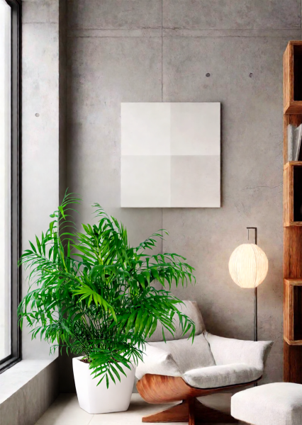 Хамедорея Элеганс 20/100 см в QUADRO LS 28 Хамедорея Элеганс 20/100 см в QUADRO LS 28