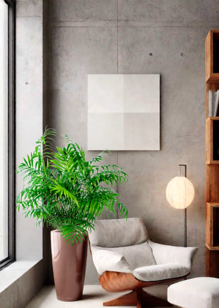 Хамедорея Элеганс 20/100 см в RONDO 32 Хамедорея Элеганс 20/100 см в RONDO 32