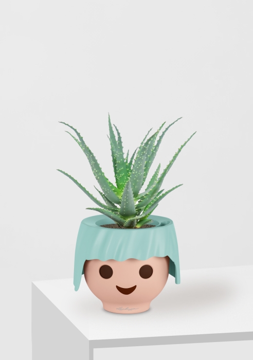 Алоэ 12/30 см в OJO, голубой