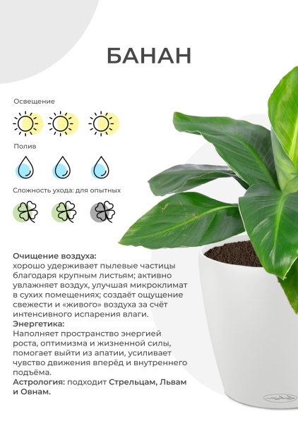 Банан 12/30 см Банан 12/30 см