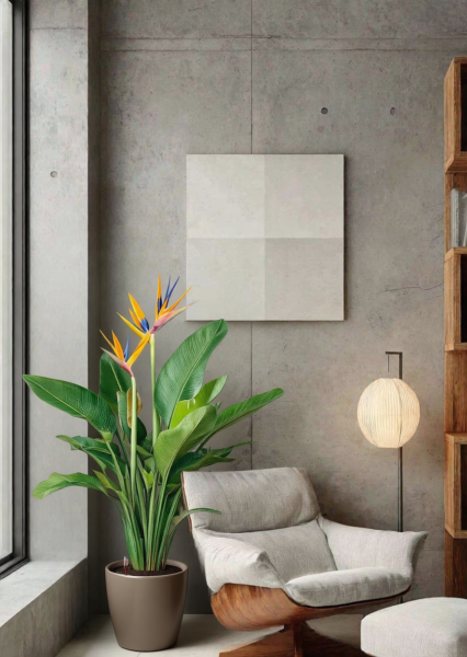 Стрелиция Регина 26/150 см в CLASSICO LS 28 Стрелиция Регина 26/150 см в CLASSICO LS 28