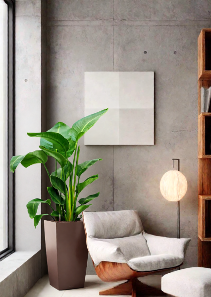 Стрелиция Николай 24/120 см в CUBICO 30