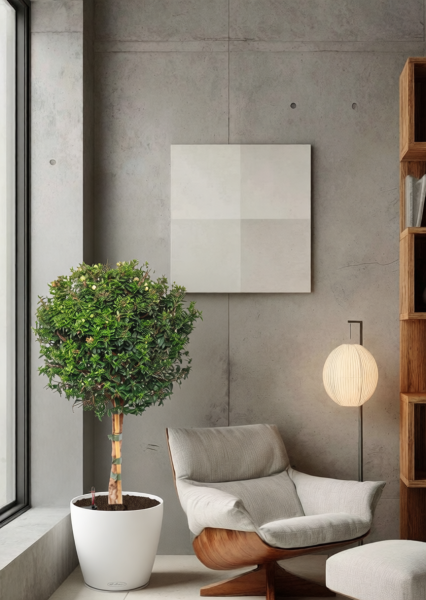 Мирт на стволе 19/75см в LILIA 250 jumper