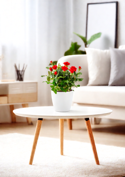 Роза Бо Монд красная 12/25 см в CANTO STONE 14