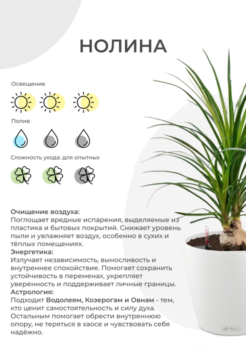 Нолина Спутник 12/40 см