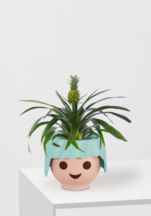 Ананас 12/40 см в OJO