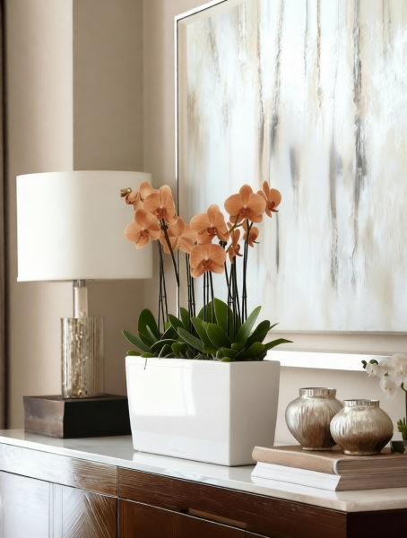 Орхидея Фаленопсис оранжевая 12/60 см