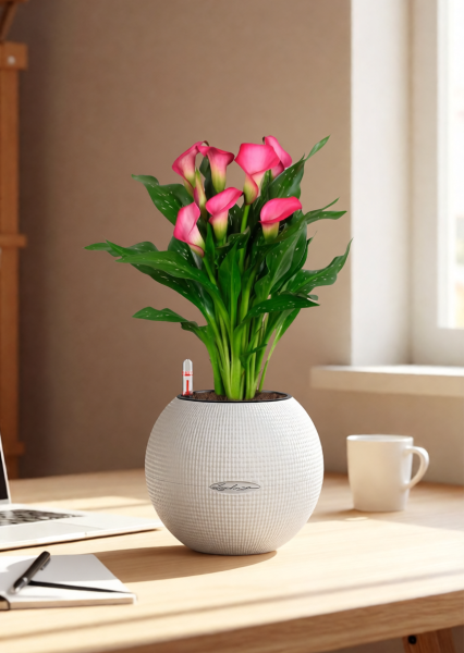 Калла подарочная в PURO 20