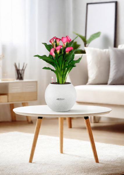 Калла подарочная в PURO 20