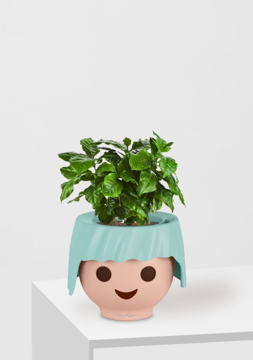 Кофе 12/30 см в OJO