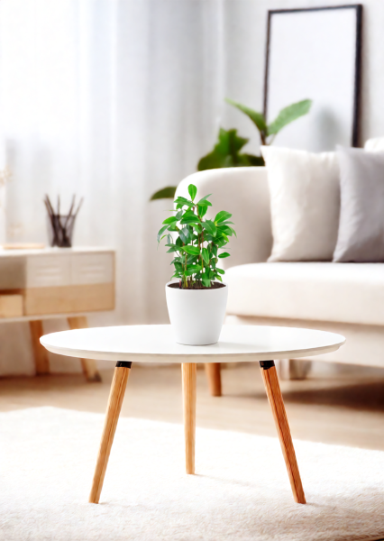 Лавр 9/30 см в CUBE GLOSSY KISS 14 Лавр 9/30 см в CUBE GLOSSY KISS 14