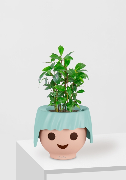 Лавр 9/30 см в OJO