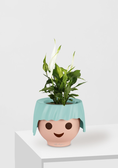 Спатифиллум 9/30 см в OJO