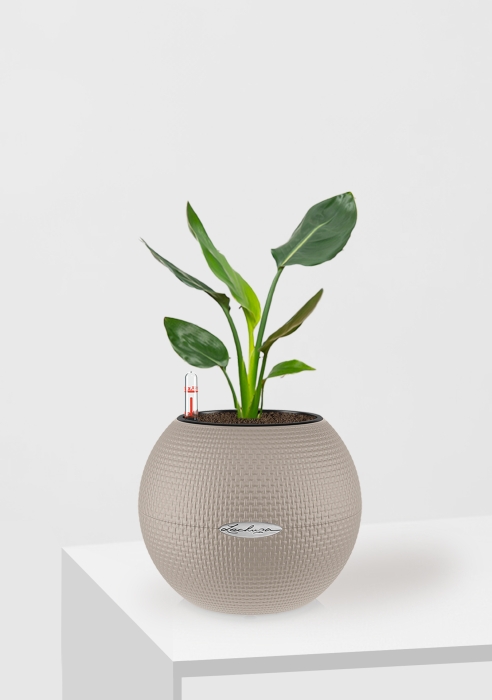 Стрелиция Николай в PURO 20, песочно-коричневый