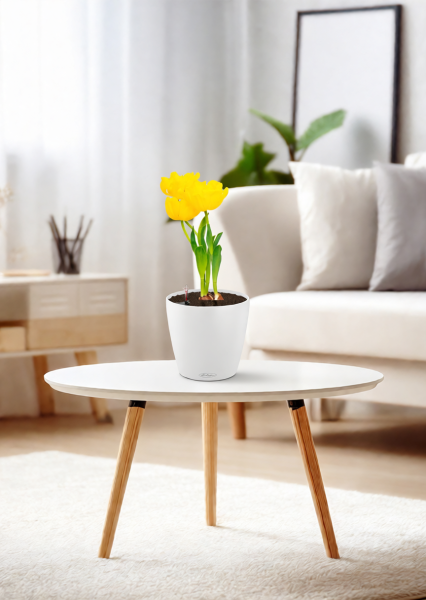 Тюльпан 7/15 см Тюльпан 7/15 см