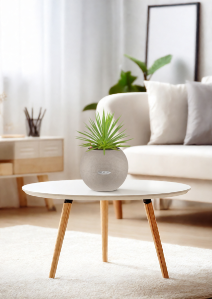 Агава Нана 10/20 см в PURO 20