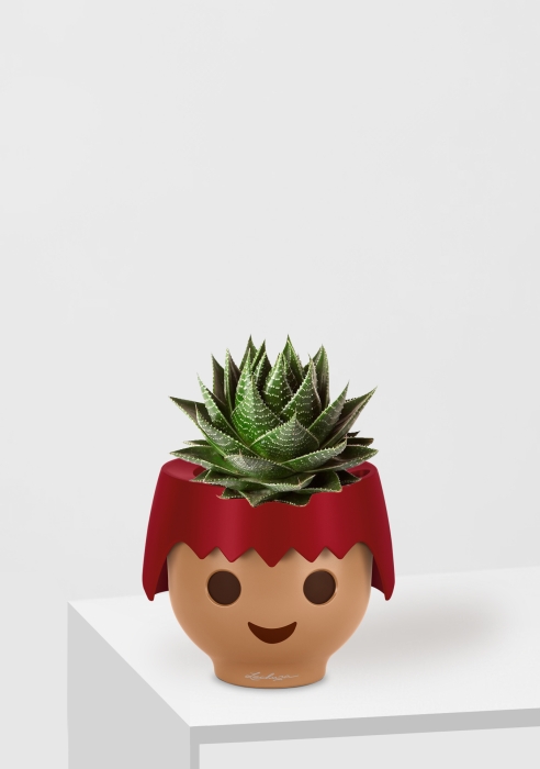 Алоэ Космо OJO 25 см, Красный матовый